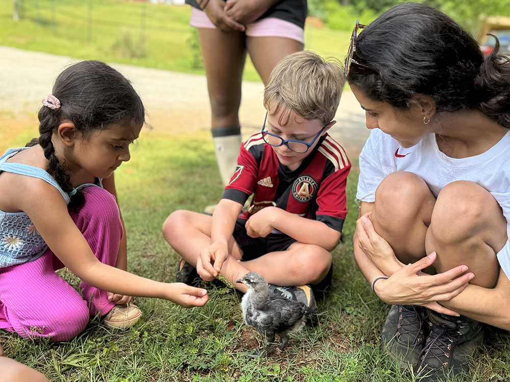 Animals at High Meadows Camp