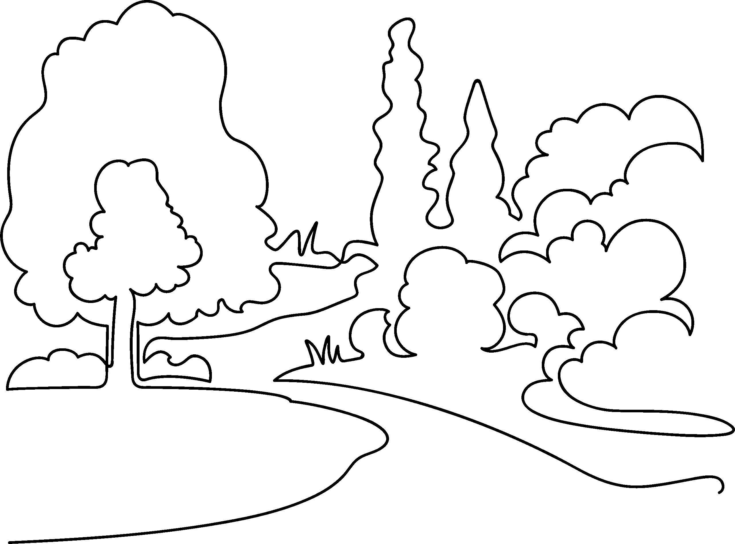 High Meadows Camp Environment