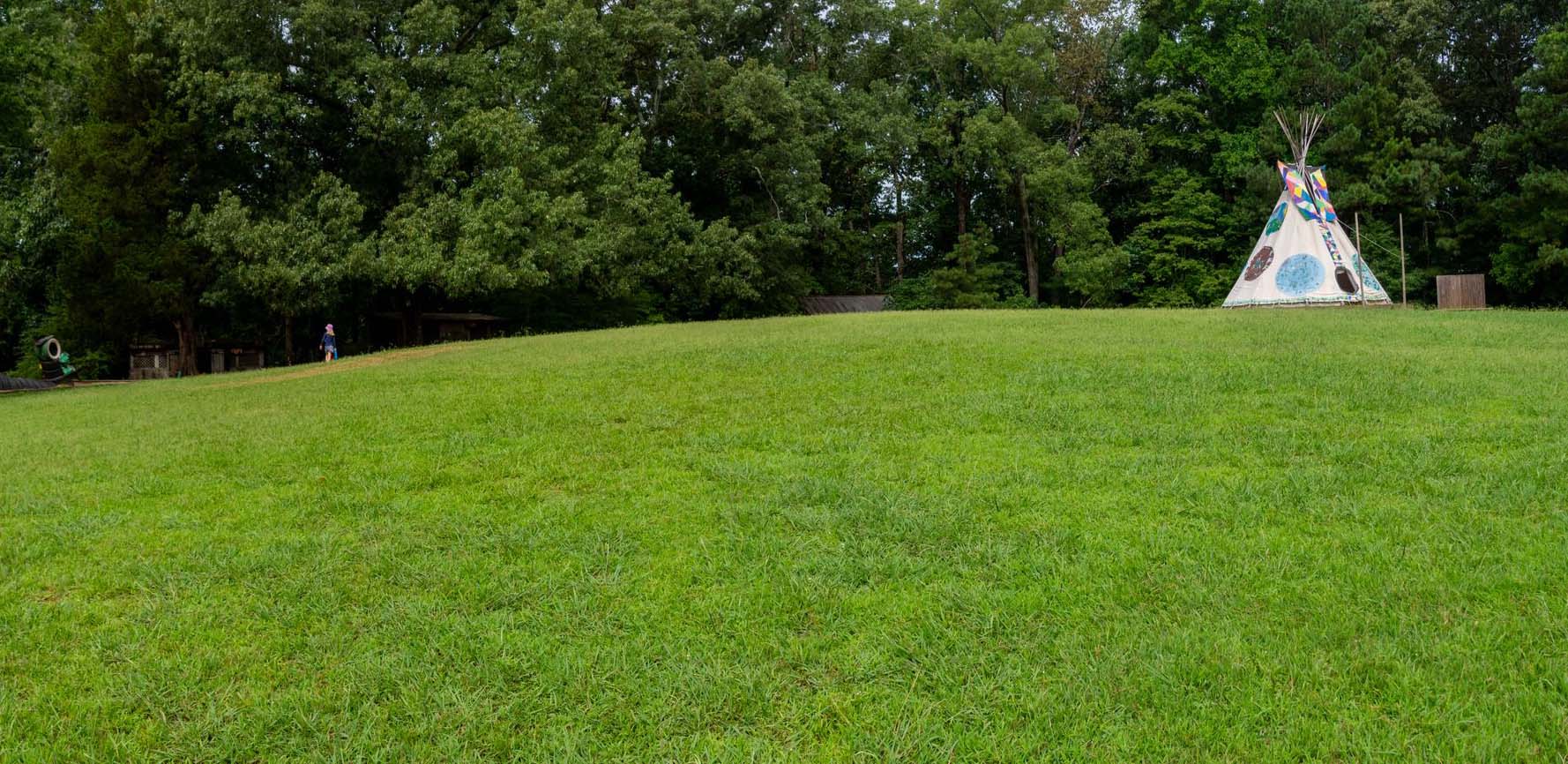 High Meadows Camp Environment