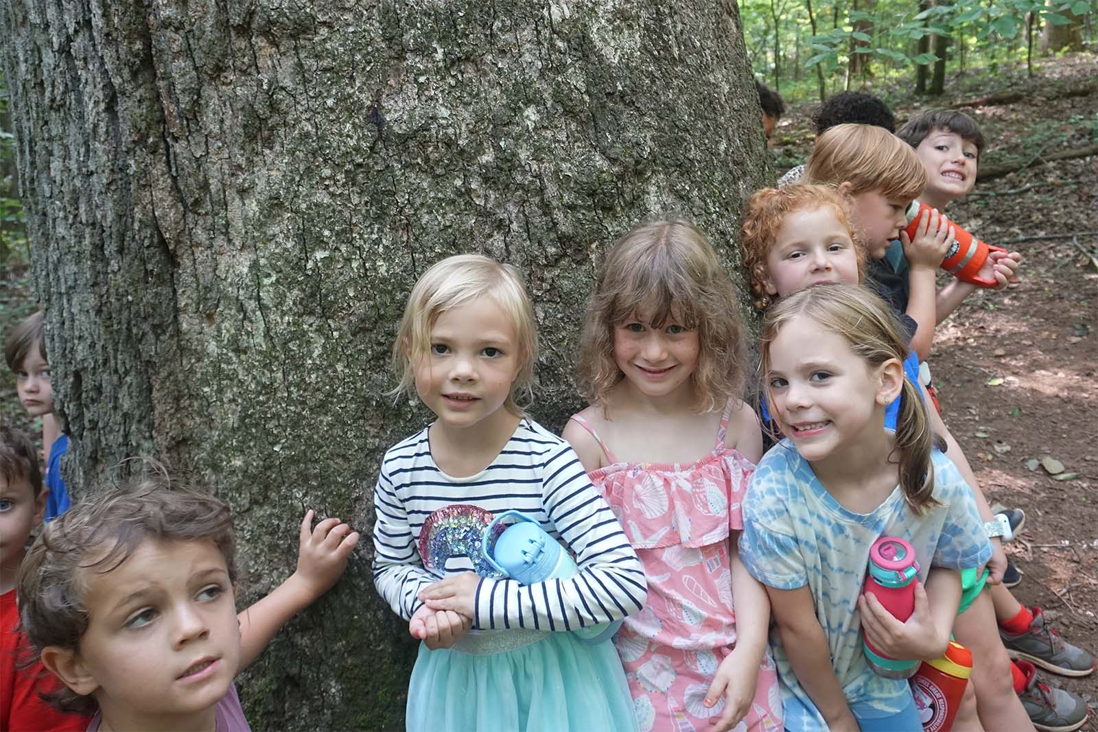 High Meadows Camp Grasshoppers