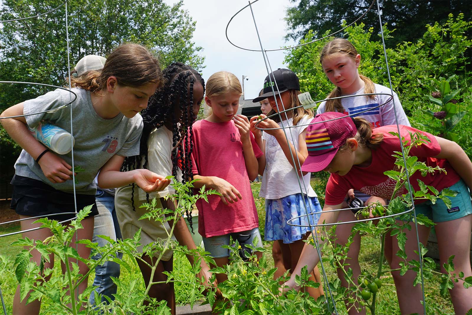 High Meadows Camp Senior Legend