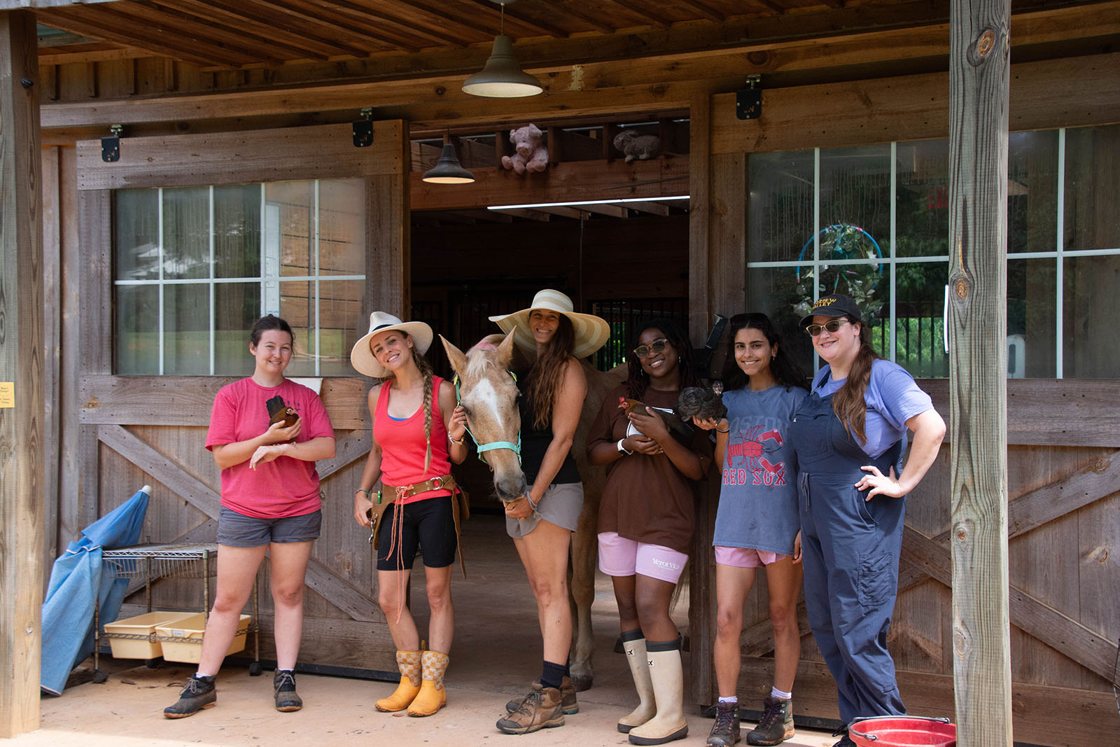 Animals at High Meadows Camp
