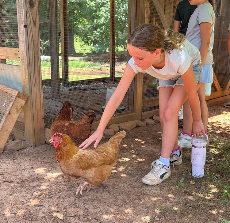 Animals at High Meadows Camp