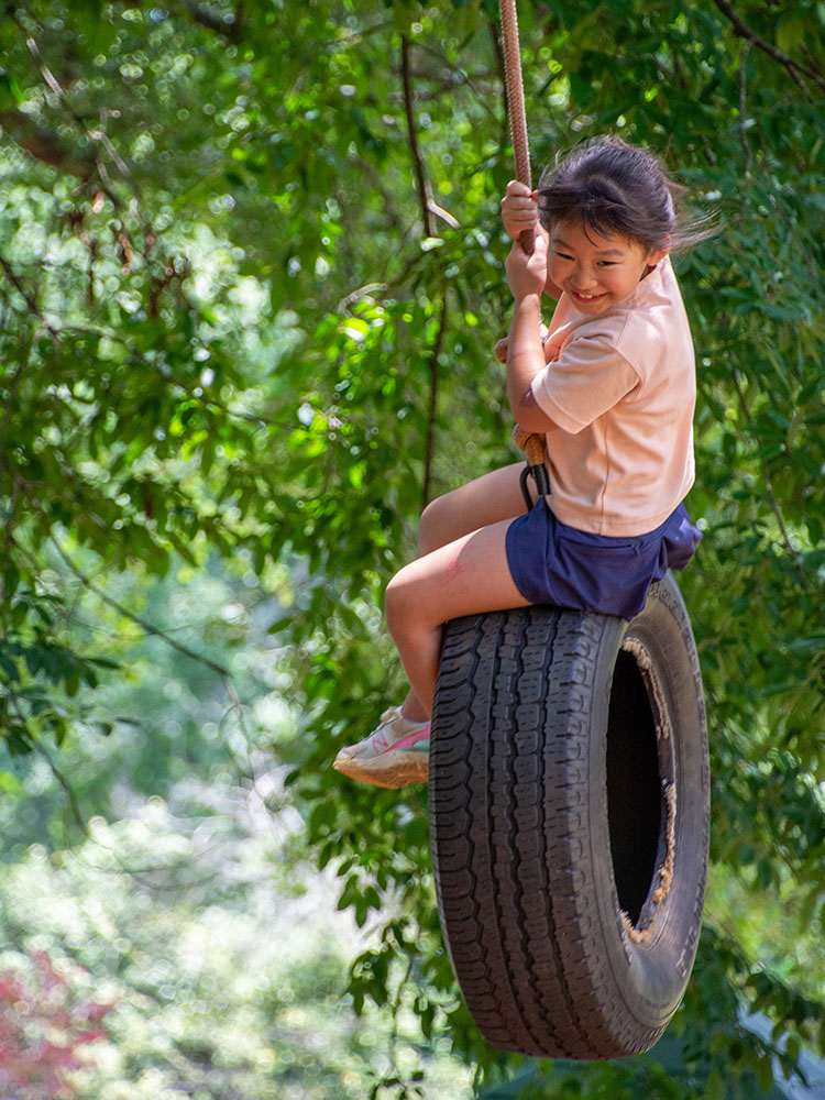 High Meadows Camp Tire Swing
